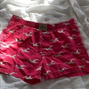 Hollister boxers